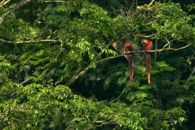 Caminatas de observacion